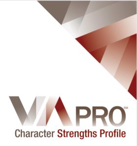 VIA Pro Report