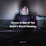 BrainFix_Instagram_06