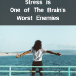 BrainFix_Pinterest_Pic6