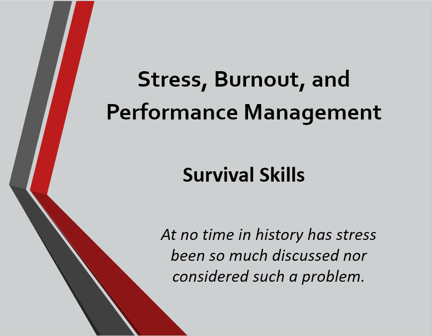 Stress, Burnout, and Performance