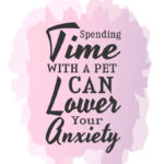 ReducingAnxiety-V2-Design5_03