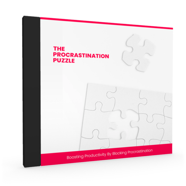 The Procrastination Puzzle - BUNDLE - Image 2