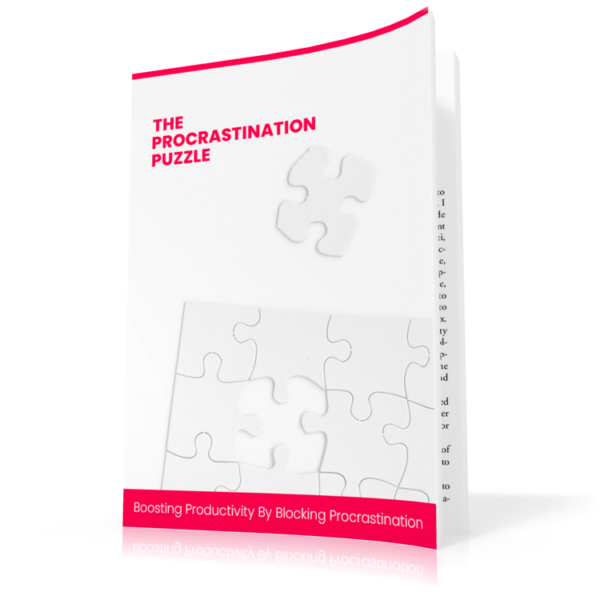 The Procrastination Puzzle - BUNDLE - Image 4