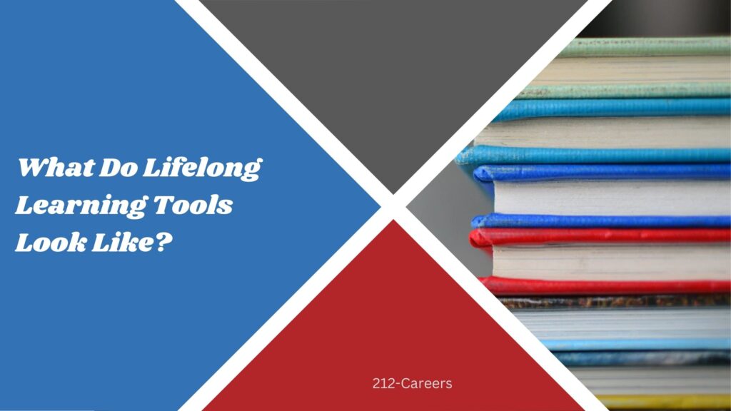 What Do Lifelong Learning Tools Look Like?