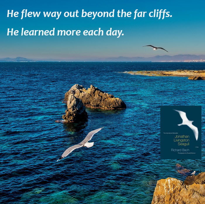 Three Pillars for Growth:  Immersion, Learning, and Practice