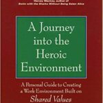Journey Heroic Environment